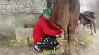 Gay chudai karne ka Sahi Tarika Ta ke dudh jyada ho.