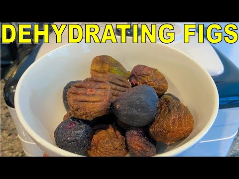 How To Dry Figs: Double Your Fig Harvest By Dehydrating Figs