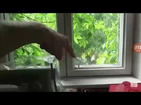 Ismo setä pätkiä  warning  pesäpallomaila