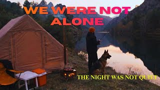 WILD CAMP Night | Surrounded by Jackals (4K)
