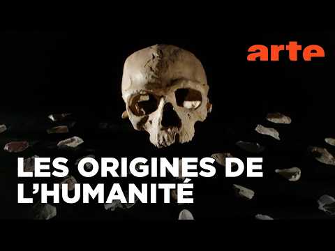 Homo sapiens, les nouvelles origines | Documentaire (2020) | ARTE