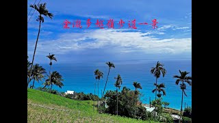 228台東金瀧多越嶺步道