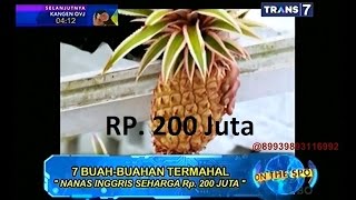 Download lagu On The Spot - 7 Buah-Buahan Termahal mp3