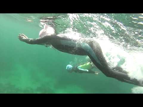 Mermaids Swimming off Shelly Beach   Sept 2014 m2ts sfl
