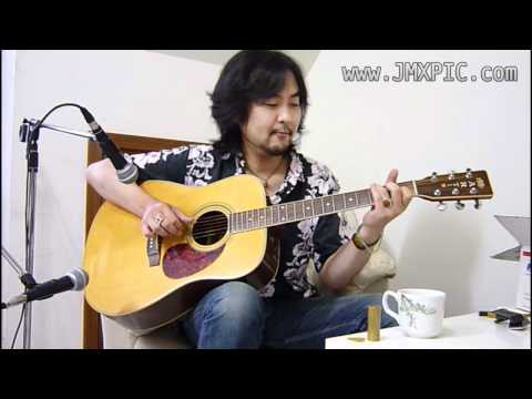 eBay USA 出品物: Pro Martin W-300 Dreadnought Flattop, すのう氏による演奏