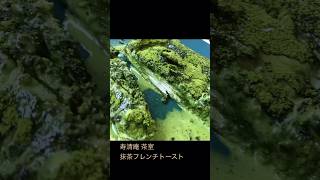 抹茶フレンチトースト🍃浅草🍃寿清庵 茶室