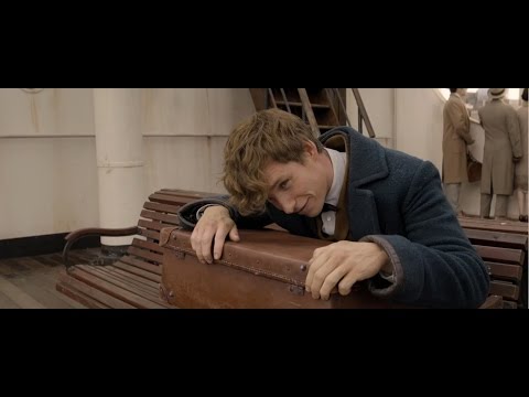 [신비한 동물사전] 마법세계 예고편