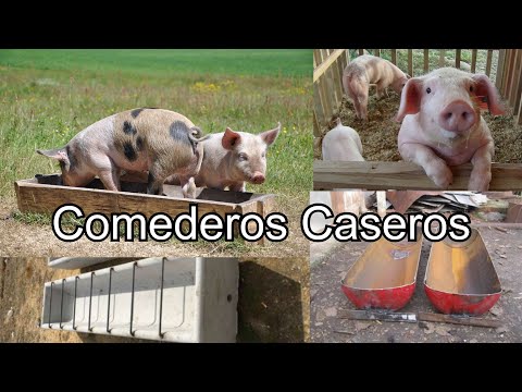 , title : 'Comederos Caseros Para Tus Cerdos / Ideas Para Hacer Tu Propio Comedero'