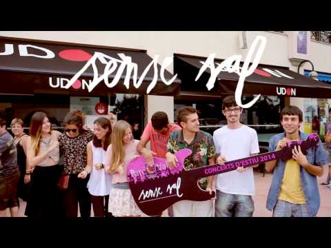 Sense Sal als concerts d'Estiu de Parc Vallès