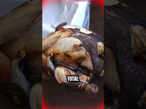 Bikin Chicken Lava Pakai Lava Beneran, Hasilnya Enggak Terduga!