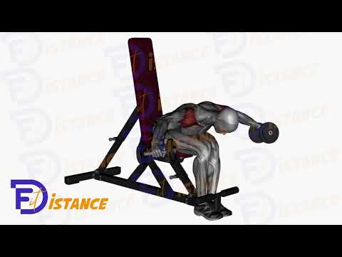 Exercice Élévation latérale des deltoïdes postérieurs en position assise avec haltères - Oiseau