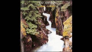 Cat Sevens - Just Another Night