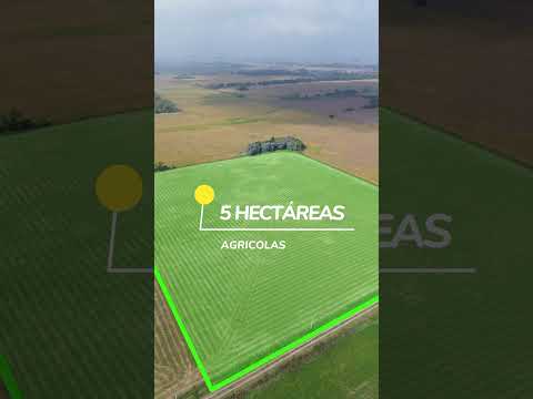 5 HA. 100 % agrícolas en San Antonio de Areco