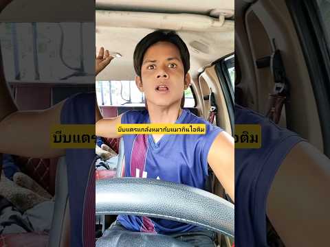 บีบแตรแกล้งหมากับแมวกินไอติม #บังเอิญเจอ #funny #comedy #การแสดงเท่านั้น