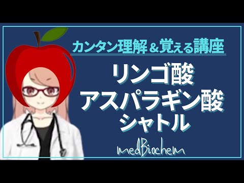アスパラギン酸について詳しく解説