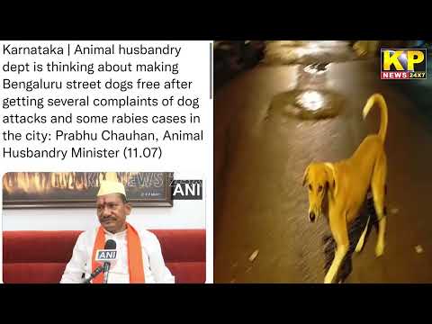 Prabhu Chauhan Balngaluru ko Dog free City karne ka vichar  Bidar bhi Dog Free City karen.