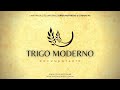 TRIGO MODERNO DOCUMENTÁRIO