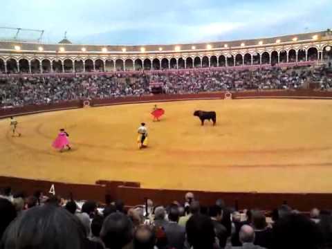 Dudu Whisky (¡arriba matador!) en La Maestranza, Sevilla