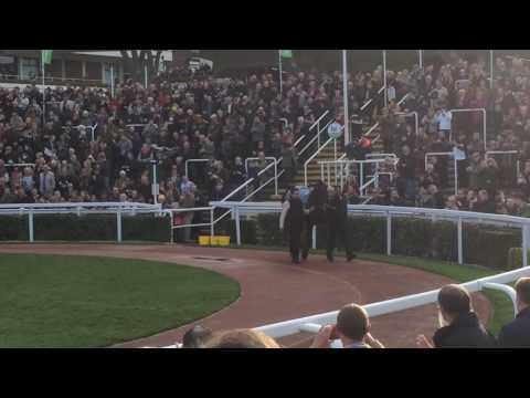 Sprinter Sacre saluted at Cheltenham on his retirement