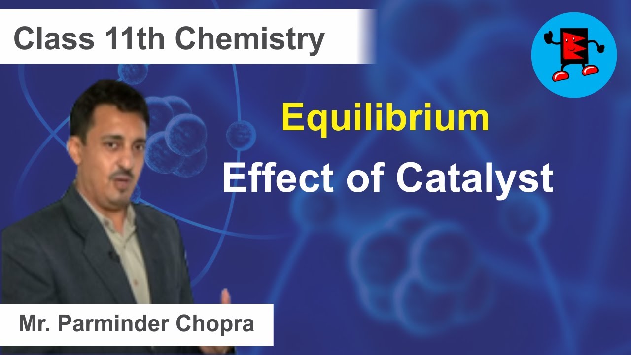 CBSE Class 11 Chemistry Equilibrium Effect of Catalyst |Extraminds