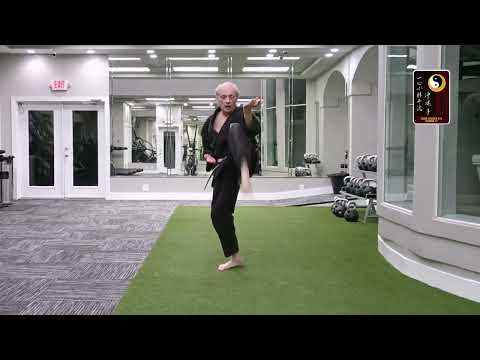 Combination Techniques: Sequence 8 – Sensei Rod Lindgren