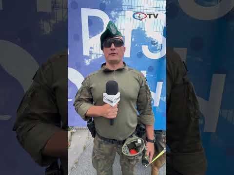  ' . get_the_title() . ' 