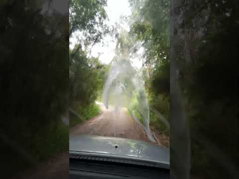 Campina Grande do Sul-Paraná