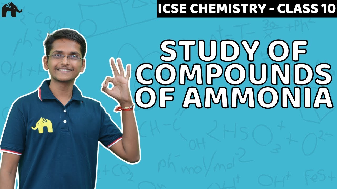 Study of Compounds of Ammonia | Class 10 ICSE Chemistry | Selina Chapter 9 | Haber's Process