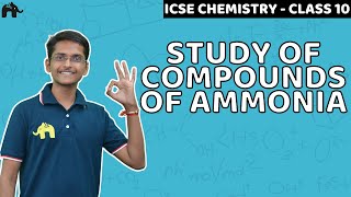 Study of Compounds of Ammonia | Class 10 ICSE Chemistry | Selina Chapter 9 | Haber's Process
