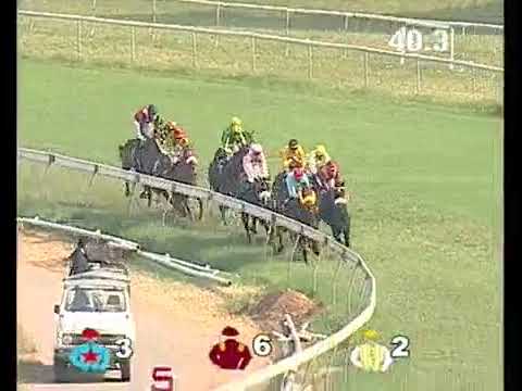 HRC Races 20th November 2017 Race 04