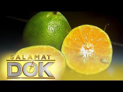 download lagu mp3 mp4 Calamansi Juice Nutrition Facts, download lagu Calamansi Juice Nutrition Facts gratis, unduh video klip Calamansi Juice Nutrition Facts