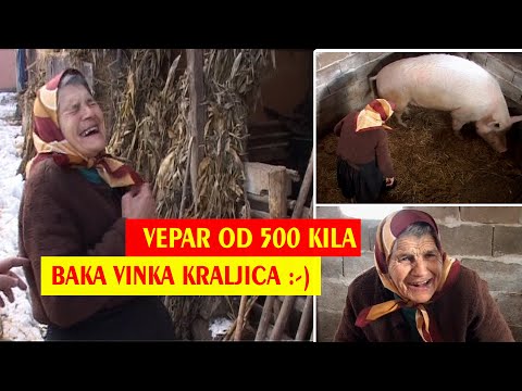 VEPAR OD 500 kg  I BAKA VINKA KRALJICA :-) - emisija PROMAJA 2009.