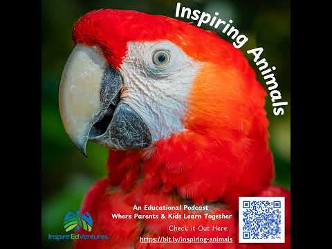 Inspiring Animals - Scarlet Macaws