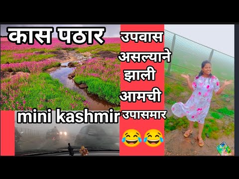 "कास पठार" 🌹🥀🌷🌺🌸🏵️🌻🌼"The valley of Flowers"...👍"Mini Kashmir."..