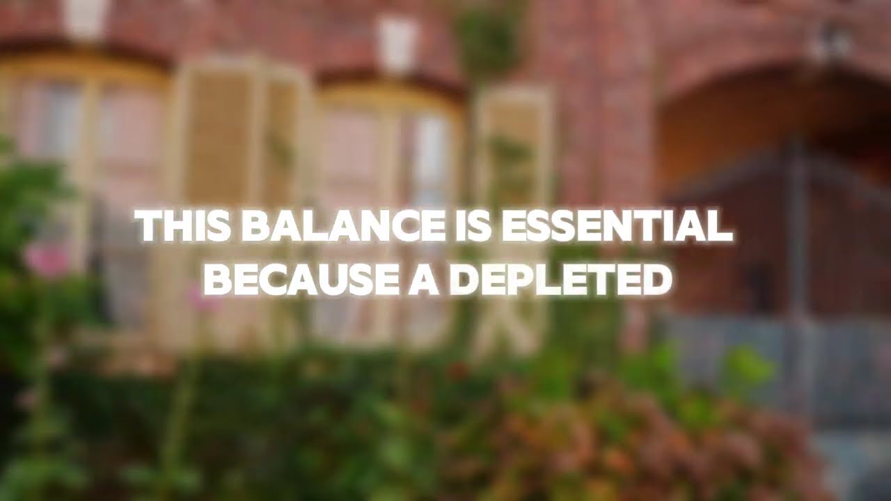 Why Kindness Can Lead to Disrespect | C.S. Lewis Motivational Speech