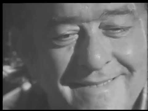 MPB Especial   Toquinho  Vinícius e Quarteto em Cy