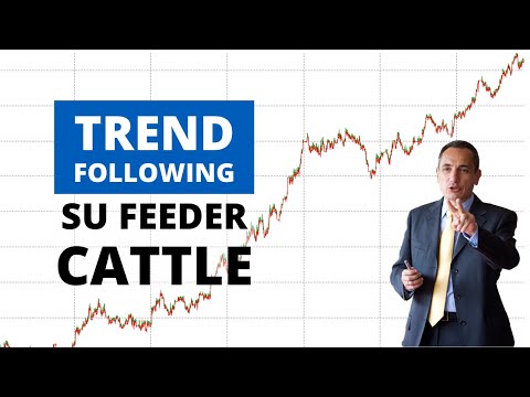 Trading sul Feeder Cattle? Due strategie con ottime Equity