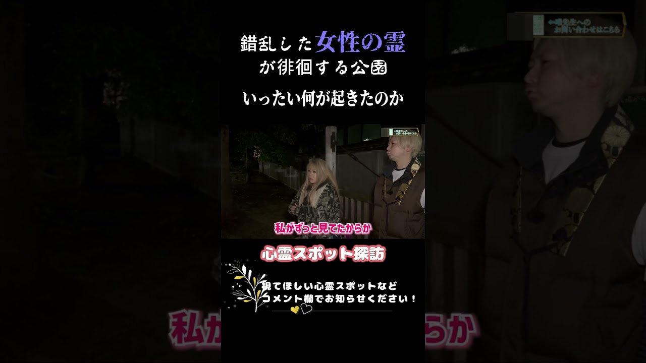 錯乱した女性の霊が徘徊する公園 #shorts