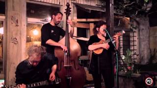 Sylvie Simmons - Hard Act to Follow