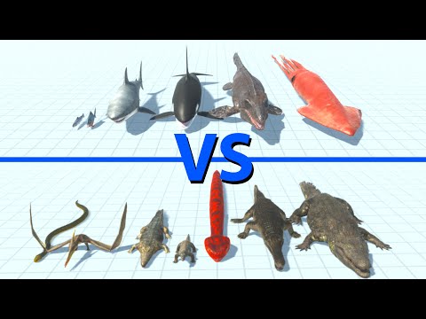 NEW AQUATICS Team vs REPTILES Team - Animal Revolt Battle Simulator