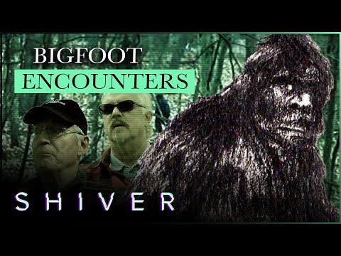 The Sasquatch Shocks Those Who Have Seen Him