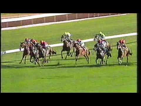 1992 Chipping Norton Stakes - Super Impose