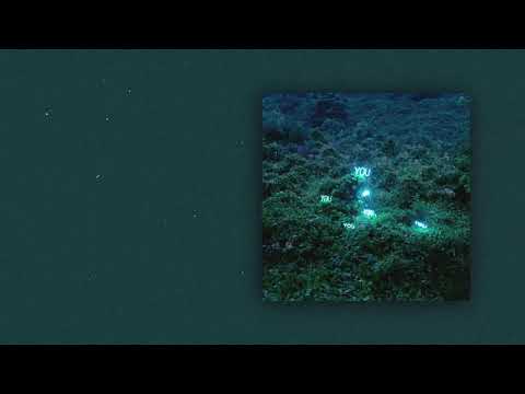 Indii G. - I'll Wait On You (prod. fantom)