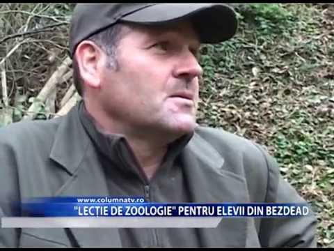 „Lecție de zoologie” pentru elevii din Bezdead (Columna TV)
