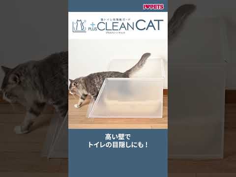 驚くべき発見: 猫砂が気候変動対策に役立つ可能性がある