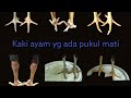 Characteristics Of Chicken Feet Pvkvl M4t1
