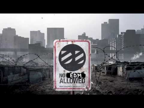 Aveho - Catalyst VIP