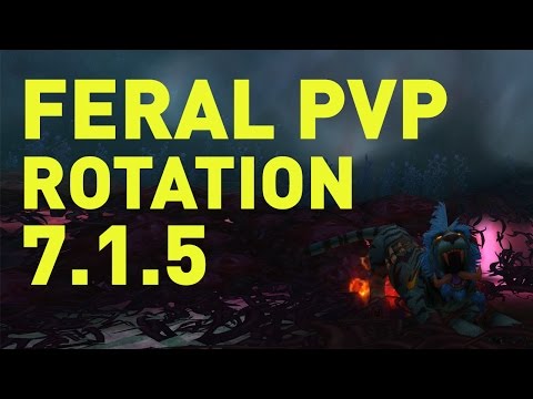 Feral Druid PvP Rotation | Patch 7.1.5 | 2400+ Legion Exp | WoW
