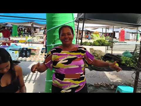 Inacreditável o preço da banana na feira de Joaquim Gomes-AL 