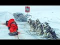 Dogs Are STUCK In SNOW For 180 DAYS Waiting For Their OWNER To RETURN But NOBODY SHOWS UP To Help